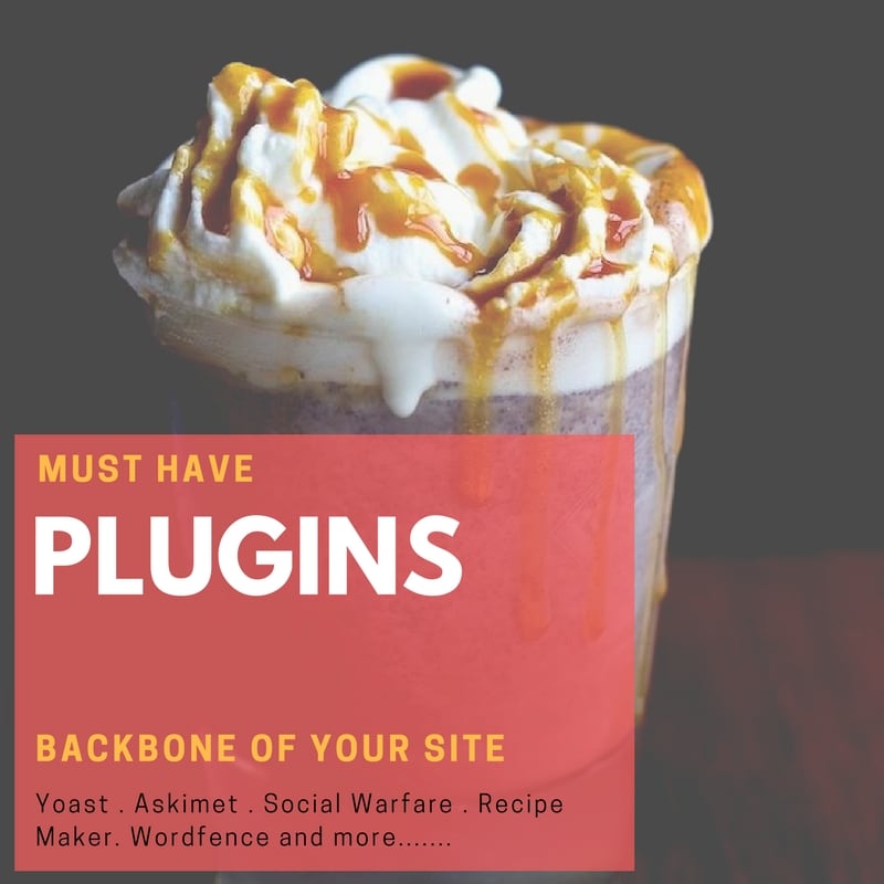 must have Plugins for food bloggers